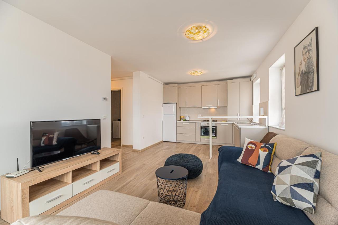 Coresi Modern Apartment บราชอฟ ภายนอก รูปภาพ